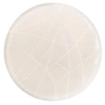 Світлодіодний світильник Luxel 390х80мм 175-265V 27W IP20 (CLR04-27C)