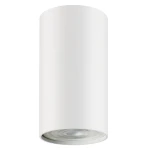 Акцентний світильник luxel GU10 IP20 білий (DLD-03W)