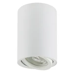 Акцентний світильник luxel GU10 IP20 білий (DLD-04W)