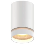 Акцентний світильник luxel GU10 IP20 білий (DLD-06W)