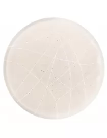 Світлодіодний світильник Luxel 390х80мм 175-265V 27W IP20 (CLR04-27C)