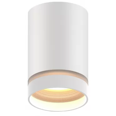 Акцентный светильник luxel GU10 IP20 белый (DLD-06W)