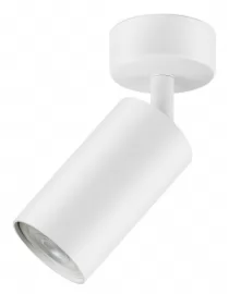 Акцентний світильник luxel GU10 IP20 білий (DLD-08W)